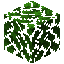 Oak Leaves